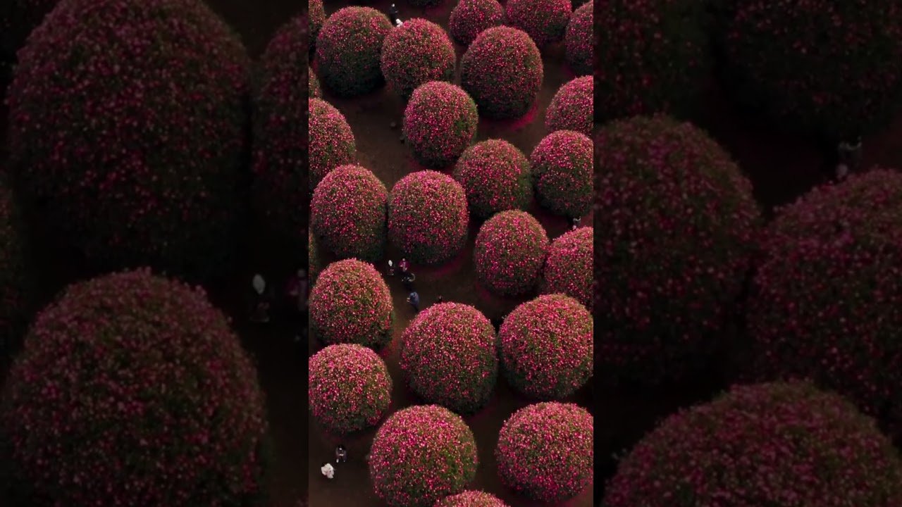 This Island Made the Top 50 Most Beautiful in the World 😍